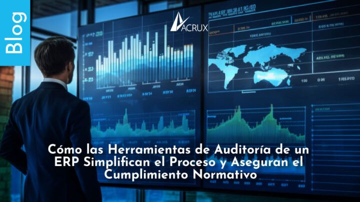 Herramientas de Auditoría de un ERP